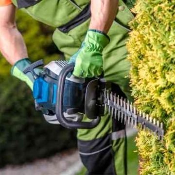 Best tree service in Lafayette